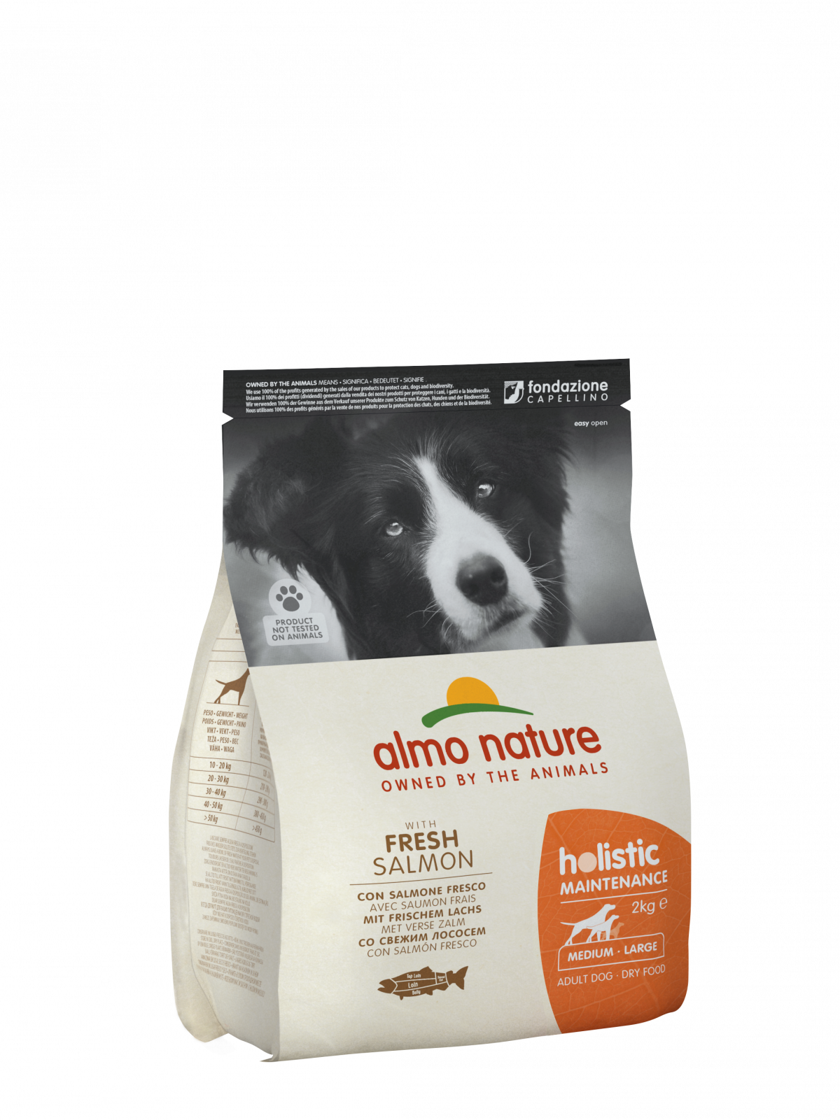 Holistic Maintenance - Salmon (2kg) Adult Dog Food (M/L) 735/122114 AlmoNature