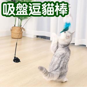 【ETOP】1 PC Pet toy cat toy fishing rod cat stick feather replacement head  cat supplies