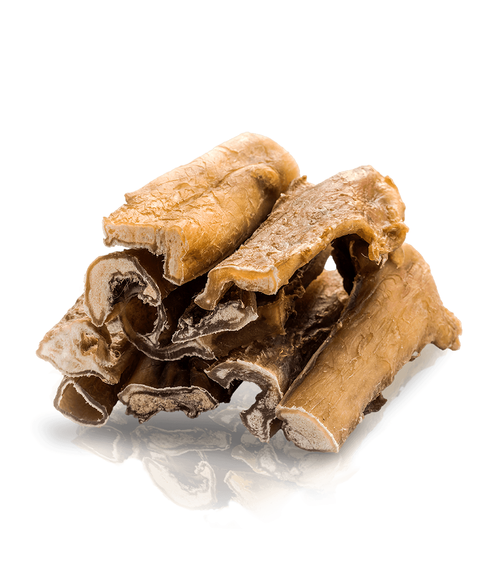 Essential Foods - 脫毛風乾牛肉皮 ( 齒健 ) (12cm*5pc, 200g) 2 Essential Foods - 脫毛風乾牛肉皮 ( 齒健 ) (12cm*5pc, 200g) 1