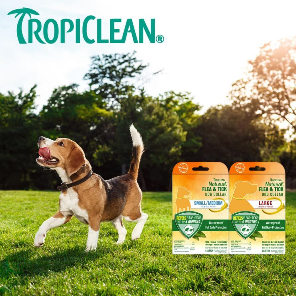 Tropiclean flea shop and tick collar