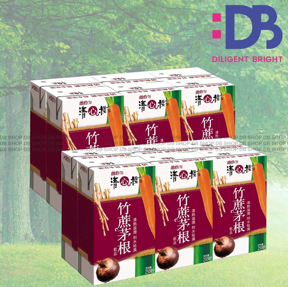 紙包裝-Tsing Sum Zhan Sugarcane (250ml X 6 X 2)