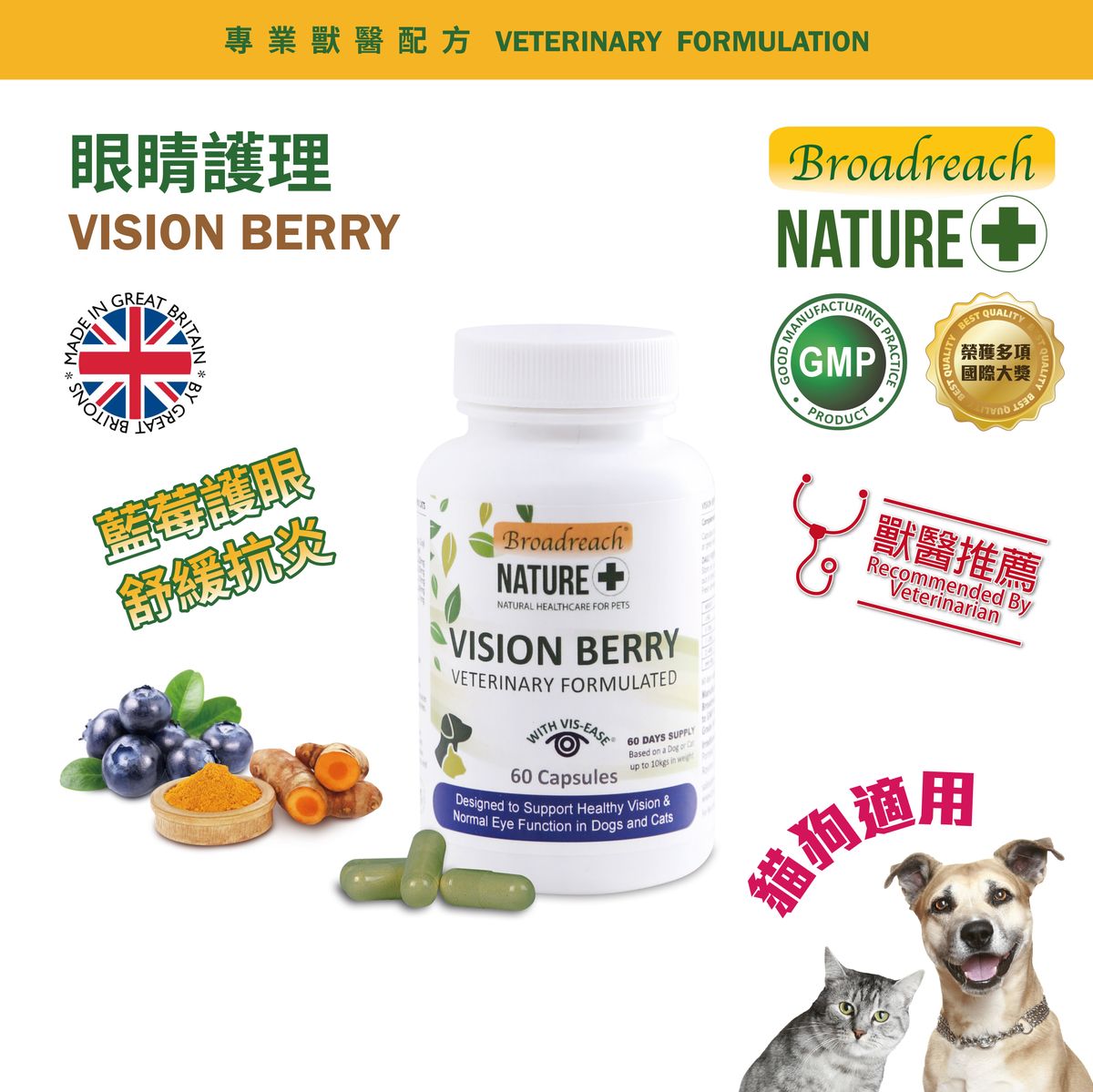 VISION BERRY 60 capsules (Cats & Dogs) - BRBE-VB060C - Best Before Date(dd/mm/yyyy):  03/10/2028