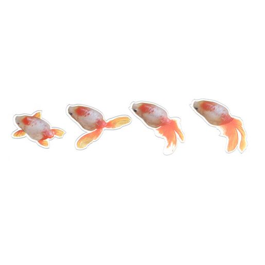 3D Resin Painting Sticker  Koi Fish Stickers with 3D Effect