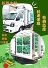 CUCUMBER 小青瓜 (350-400G)