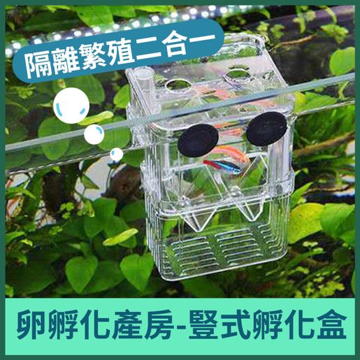 Breeding Box, Aquarium Fish Tanks Breeding Box Plastic Fish Incubator, Shop  Household Aquarium for sea Clownfish for Injured Small Fish for Shrimp