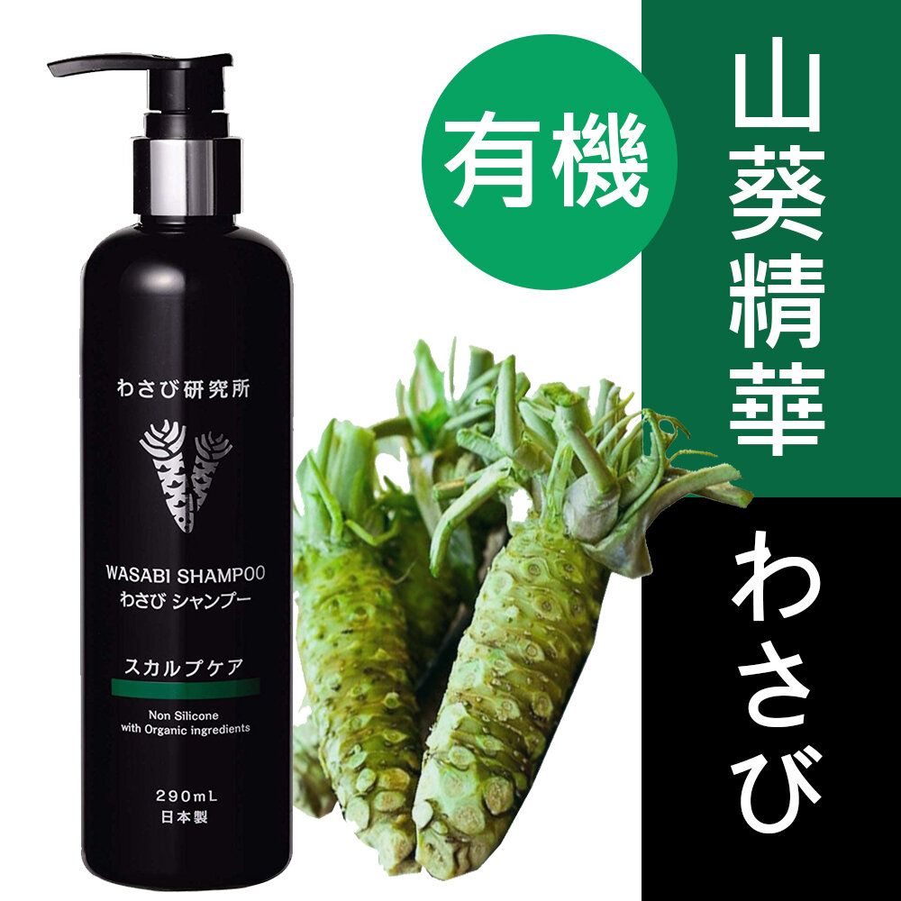 山葵精華洗髮液 290ml -13474