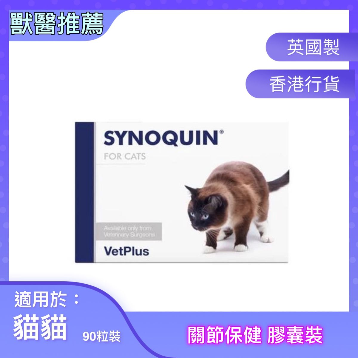 Synoquin cat 2024