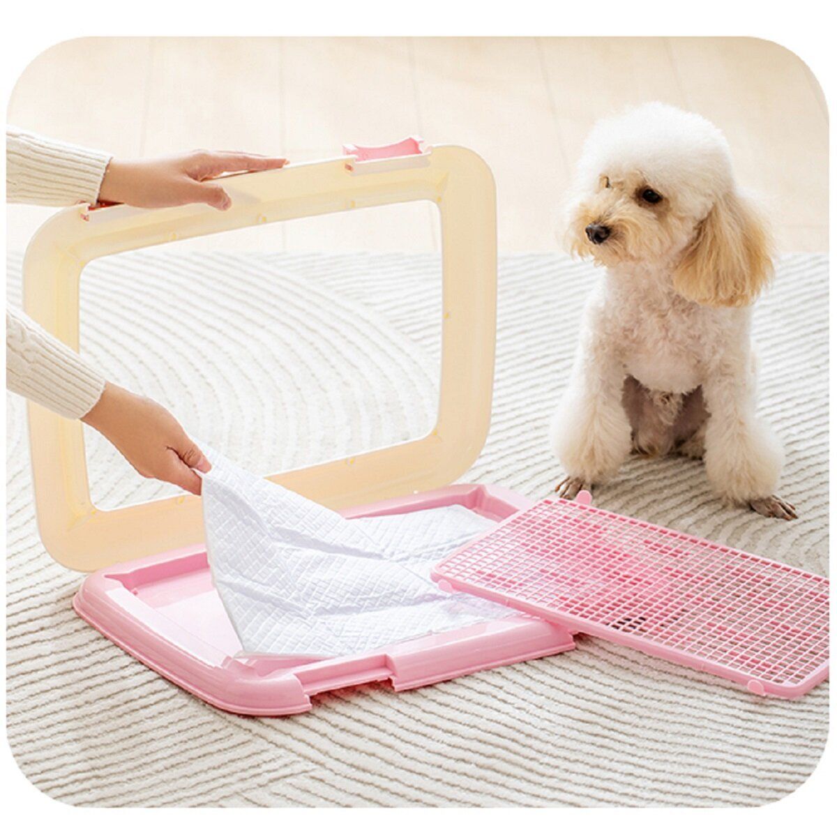 IRIS OHYAMA | Ⓟ · Dog Toilet Board (粉) Pink FTT-485 Mesh Flip Open M-Size 48.5x36.5cm Water Absorb dog diapers toilet | Color : Pink＿ | HKTVmall The Largest HK Shopping Platform