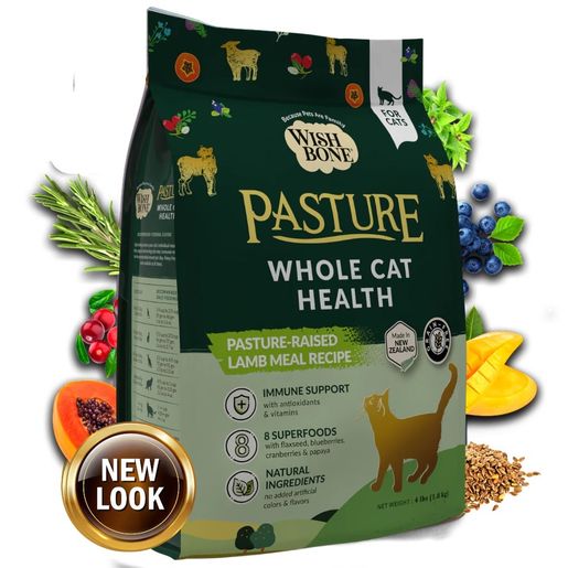 Gluten free outlet dry cat food