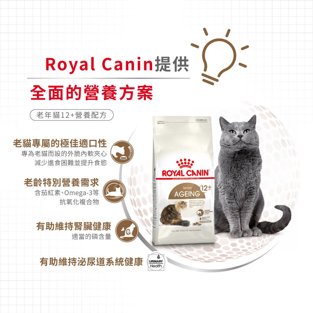 Royal Canin Ageing 12+ - Shop at Vivapets Today!