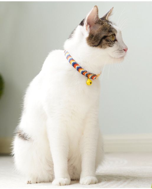 Cat neck outlet belt