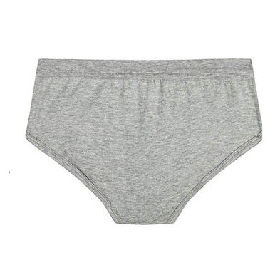 SCHIESSER, Boy's Modal Mid-Rise Briefs(2 pcs pack), Color : Healther Grey, Size : 100