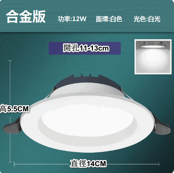 文記 | LED天花射燈嵌入式開孔(大功率12W【預設發白光】孔11-13cm)#M288004014 | HKTVmall 香港最大網購平台