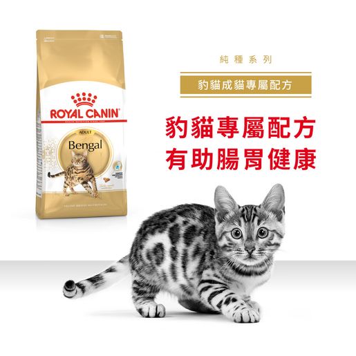 Royal canin kitten outlet bengal