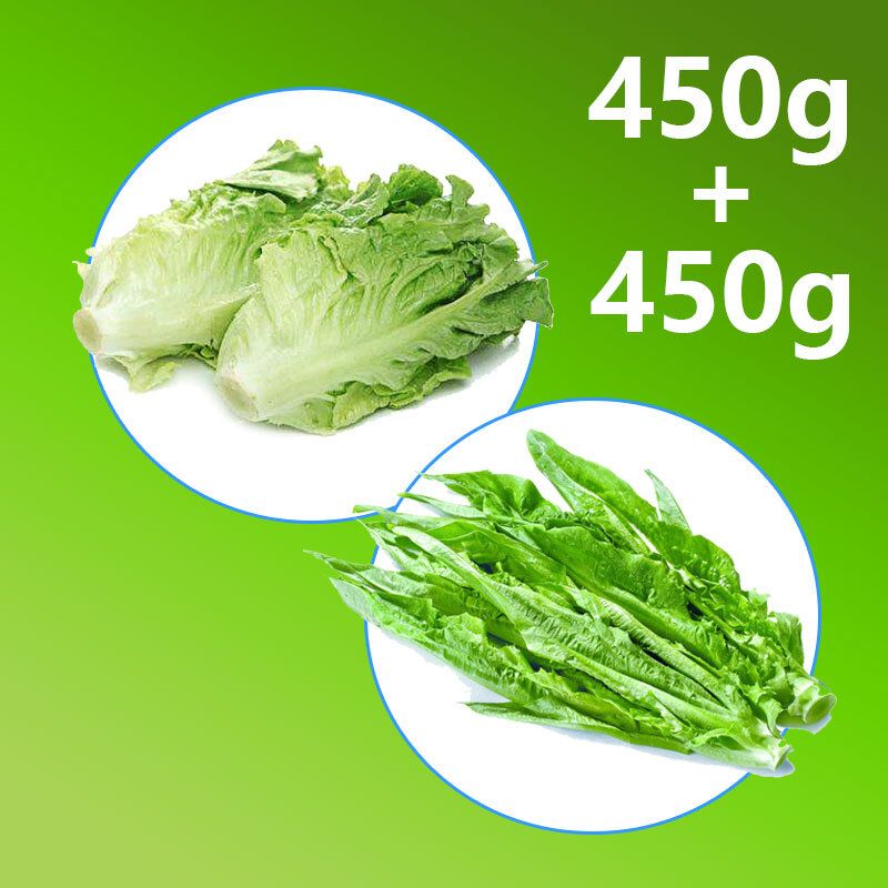 Local Vegetable Pack E (Tang Lettuce x450g, Lettuce x450g)
