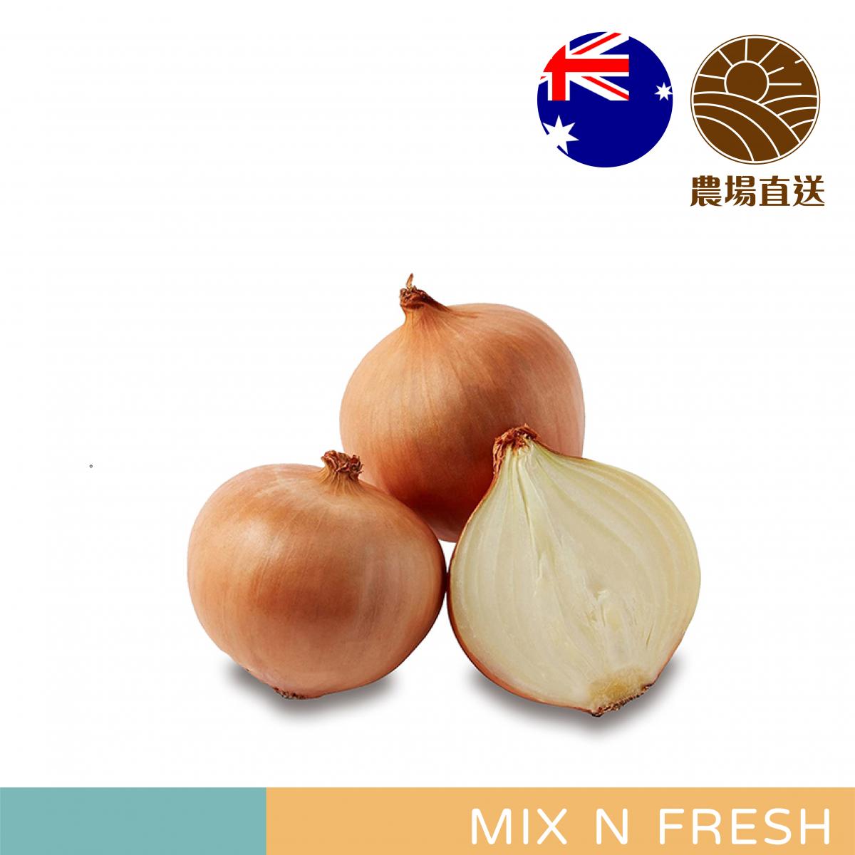 Australian Brown Onion (Around 850-1000g) 澳洲啡洋蔥 (約850-1000g)