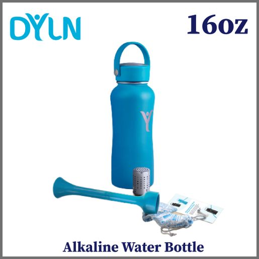 Dyln water online bottle