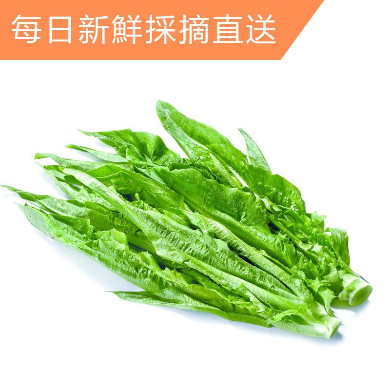 本地田園油麥菜(約450-500g)