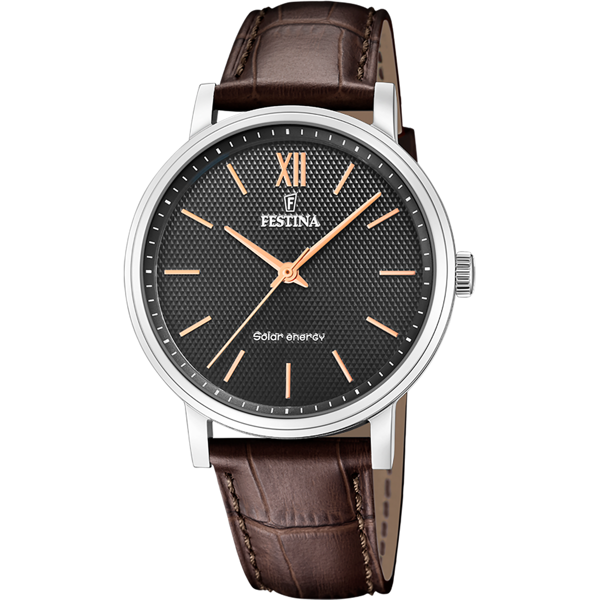 Festina 男裝太陽能皮帶手錶  F20660_6