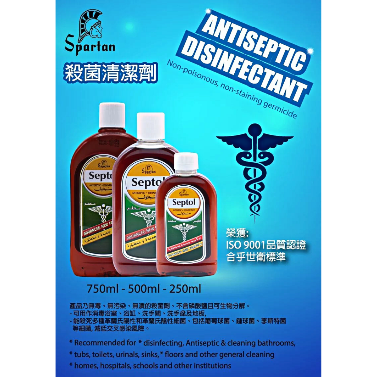 Spartan | [原箱] Septol 消毒藥水 (殺菌清潔劑) - 750ml x 12 | HKTVmall 香港最大網購平台