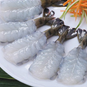 [Free Gift] Vietnamese Glass Tiger Shrimp Sashimi (20 pcs) 120g (Frozen) 