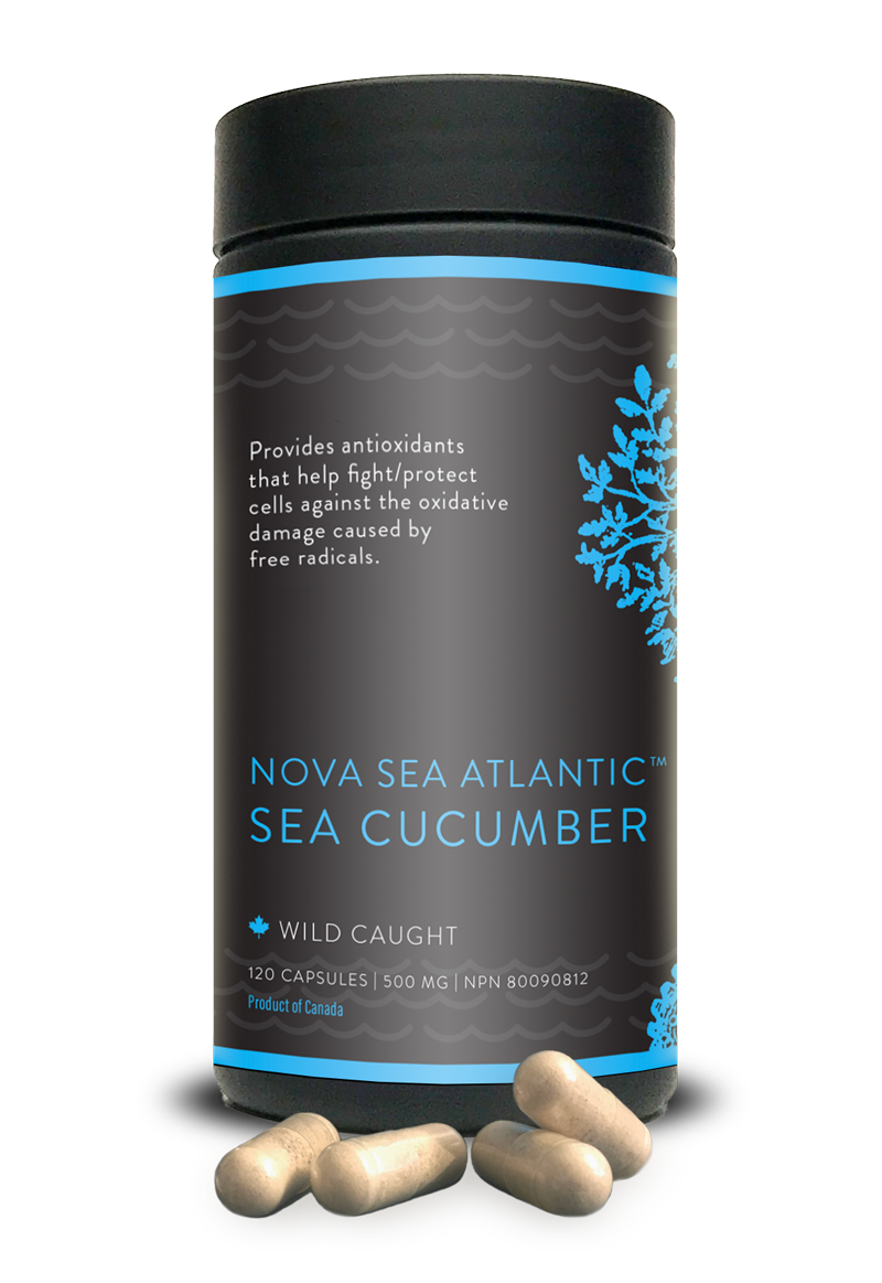 Nova Sea Atlantic Sea Cucumber (120 capsules)