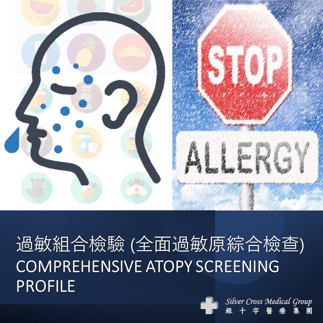 COMPREHENSIVE ATOPY SCREENING PROFILE (#Inn-ID024) - 1 Session