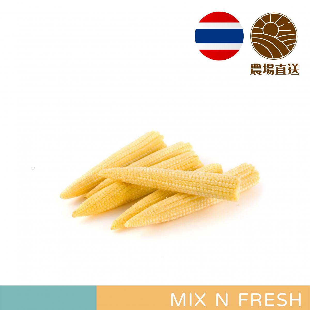 Thai Baby Corn (2 Packs) 泰國珍珠筍 (2包裝/共重約180-200g)
