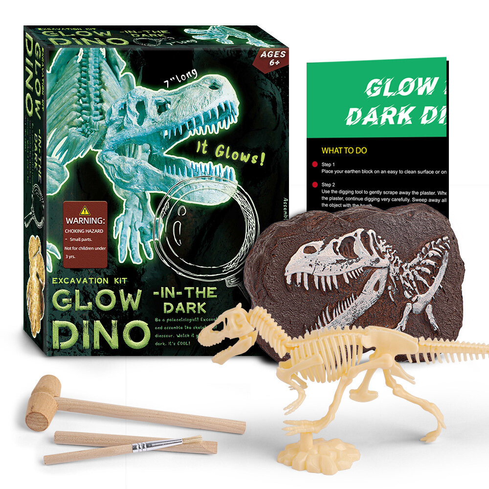 DIY Glow in the dark dinosaur excavation kit❤Tyrannosaurus