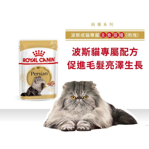 Persian kitten wet food hotsell