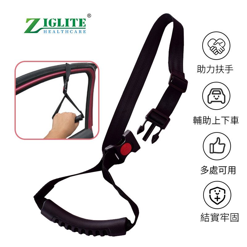 Adjustable boarding and alighting handle with armrest（NDW）