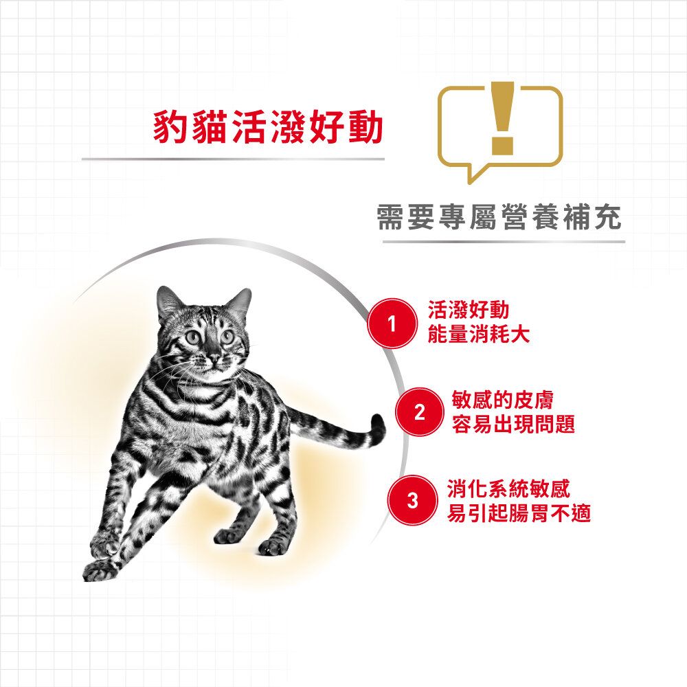 ROYAL CANIN | Bengal Adult For Cat 2KG | HKTVmall The Largest HK