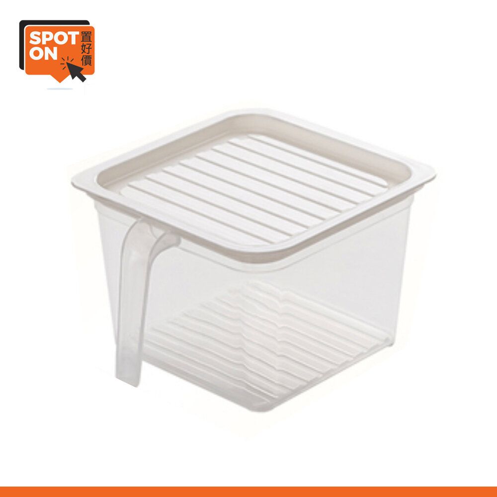 Plastic Storage Box with Handle