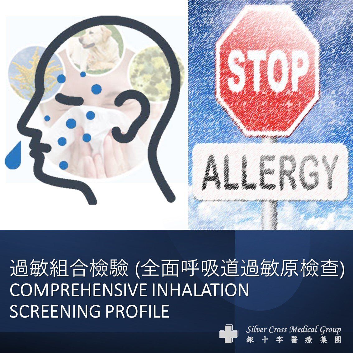 過敏組合檢驗 (全面呼吸道檢查) (#Inn-ID023)- 1 次 