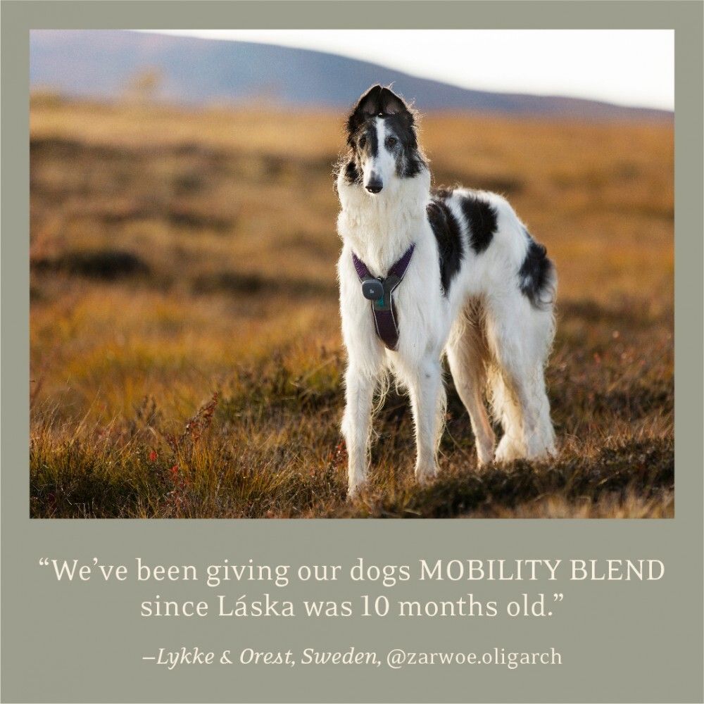 Essential Foods - 骨骼活動素 500 ML 3