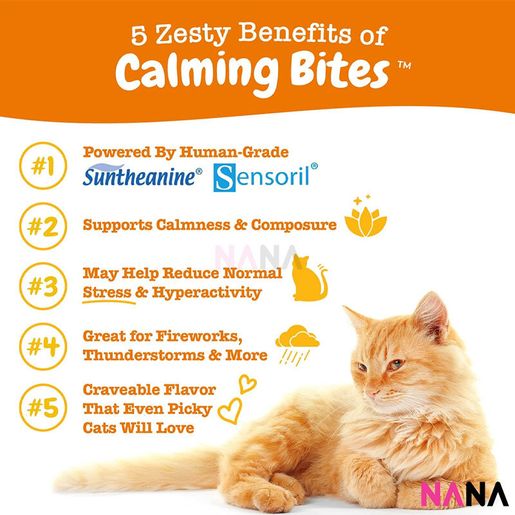 Calming bites best sale for cats