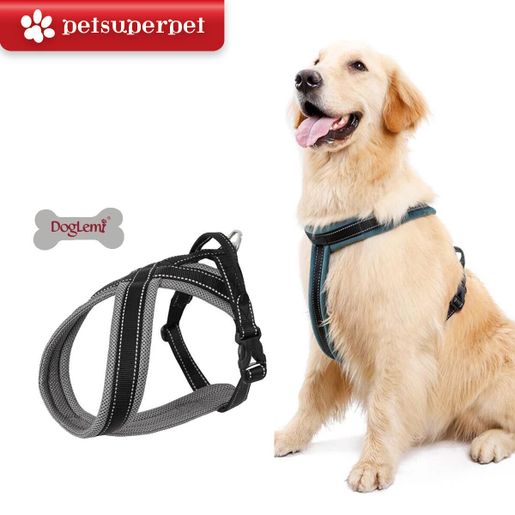 Doglemi harness 2024