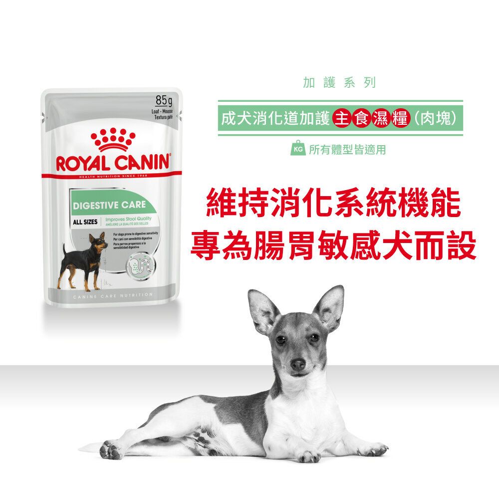CCN Digestive Care Dog Food Loaf 85g  
