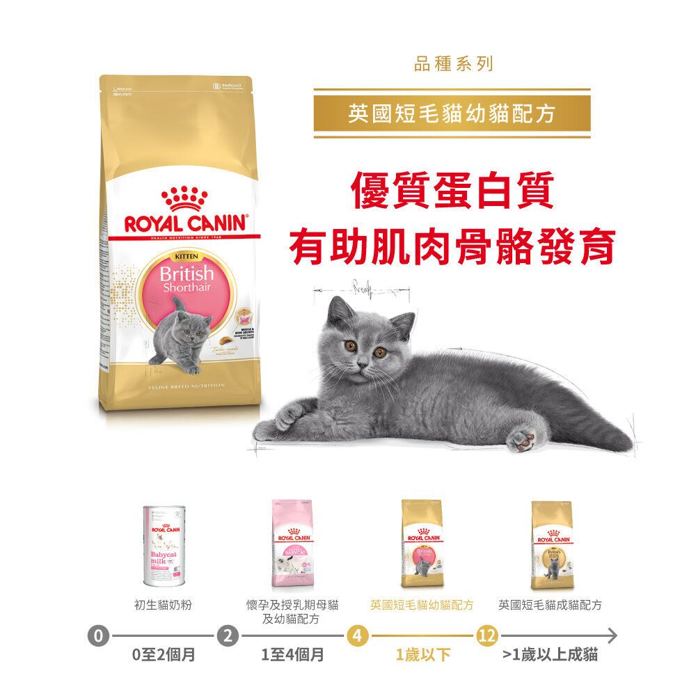 Royal canin british hot sale shorthair kitten 10kg