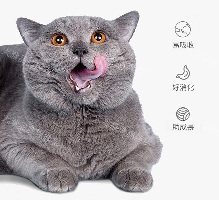 A1 | (Tuna + Fish Roe + Crab Meat) Cat Snack Meat Paste Meal Pack, Cat ...