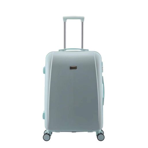 Homestore and more discount suitcases