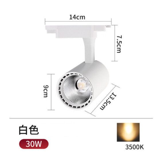 CW | LED射燈天花燈【30W】【白筒黃光】 | HKTVmall 香港最大網購平台