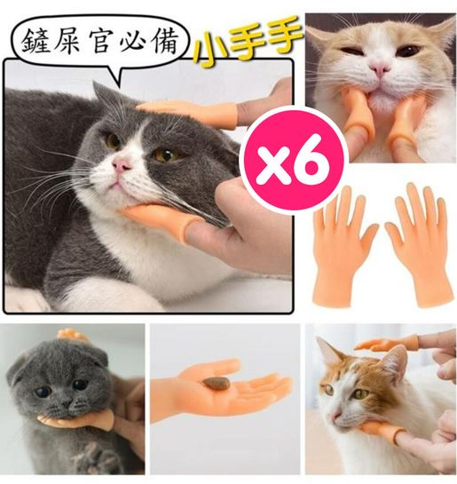 Cat toy best sale glove fingers