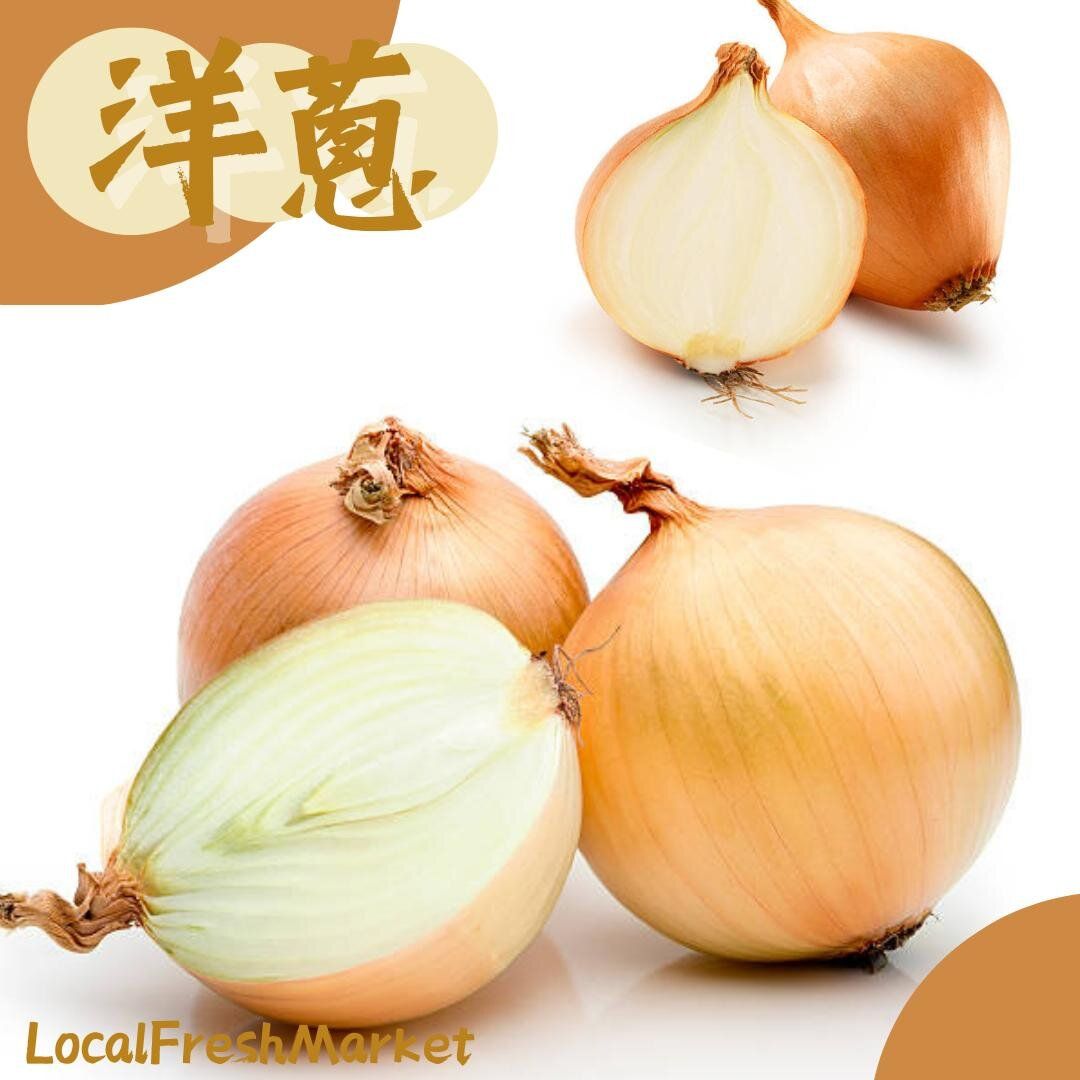 本地白洋蔥 (500-600g)
