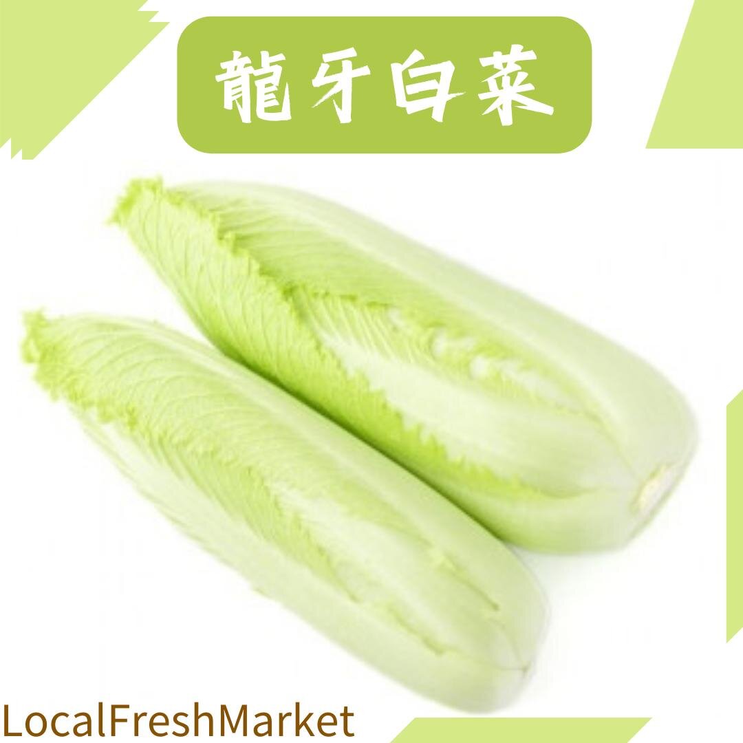 龍牙白菜 / 紹菜仔 (500-600g)