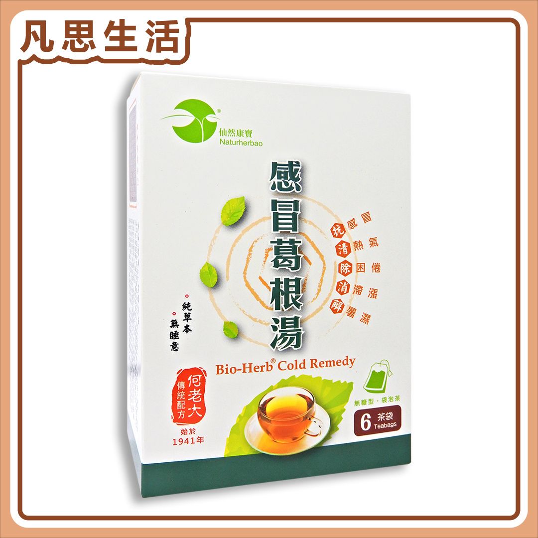 Bio-Herb Cold Remedy 6 Teabags #01838