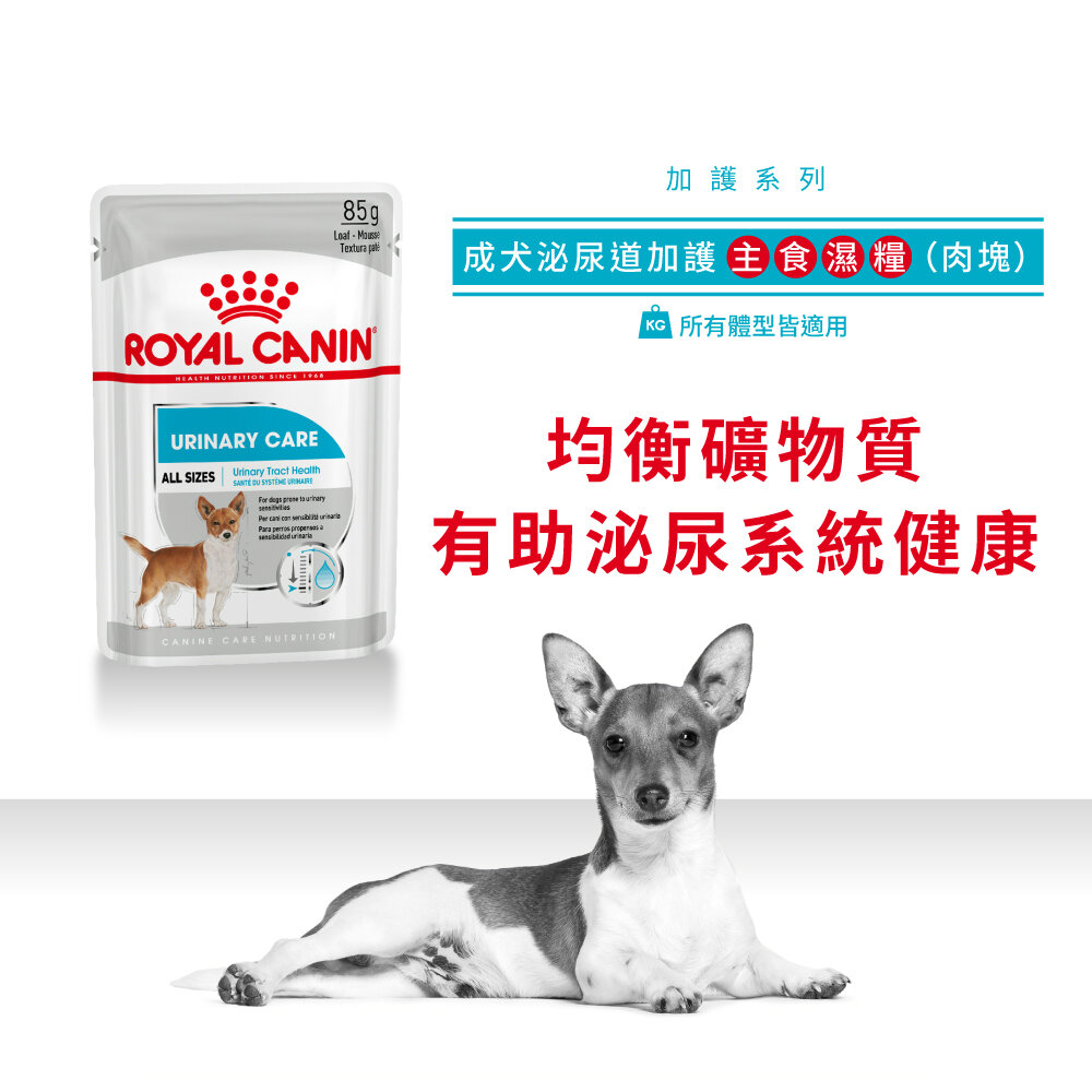 CCN Urinary Care Dog Wet Food (Loaf) 85g