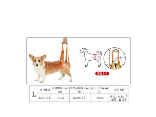 Petio Petio 高齡犬步行輔助背帶 後足 L 42 54cm 平行進口 尺碼 大 Hktvmall 香港最大網購平台