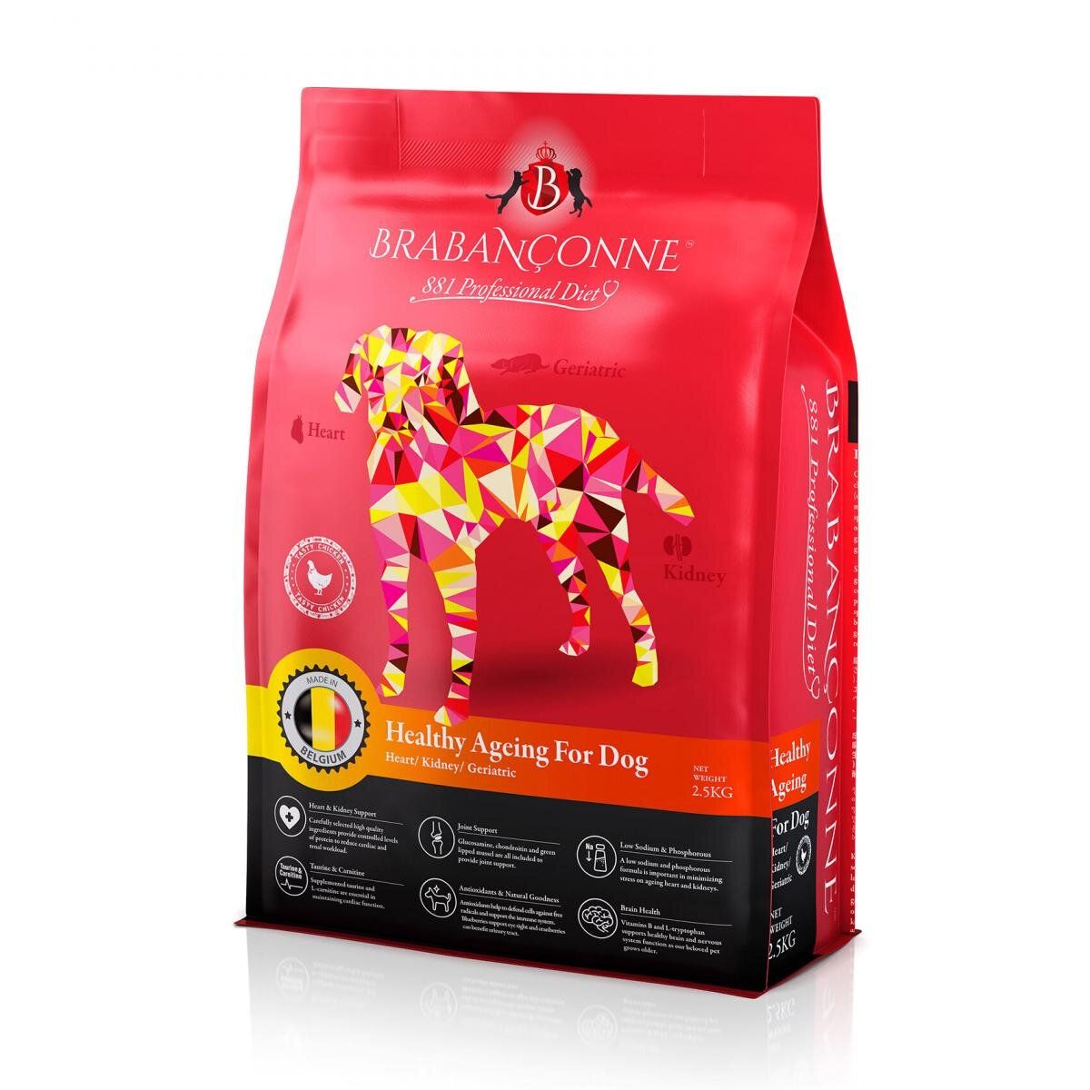 881 Healthy Professional Dog 2.5kg EXP:2027-02-20  