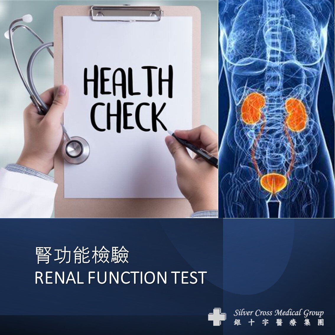 RENAL FUNCTION TEST (#RFT) - 1 Session